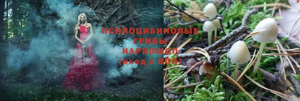 PSILOCYBIN Баксан