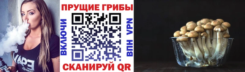 сколько стоит Котельнич Галлюциногенные грибы ЛСД