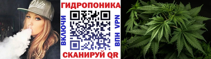 KRAKEN   Котельнич  Бошки марихуана план 